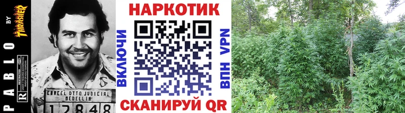 Купить наркоту Макаров КОКАИН  НБОМе  Гашиш  Каннабис  Мефедрон  Alpha-PVP 