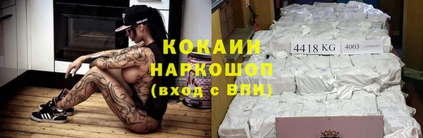 дживик Богородицк