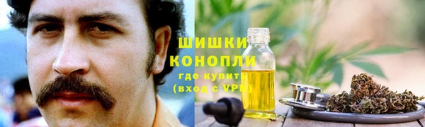 гидра Богданович