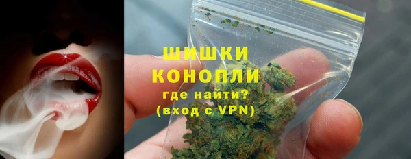 дживик Богородицк