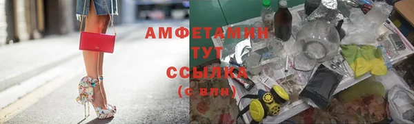 дживик Богородицк
