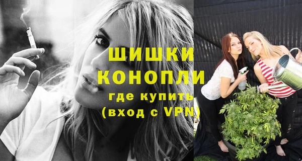дживик Богородицк