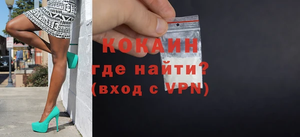 дживик Богородицк
