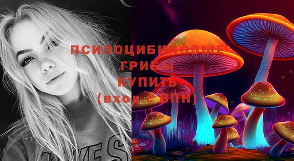 дживик Богородицк