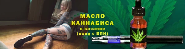 дживик Богородицк