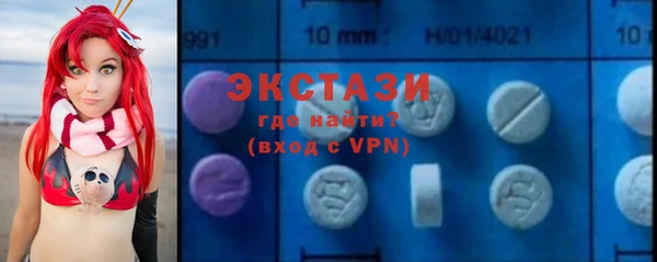 дживик Богородицк