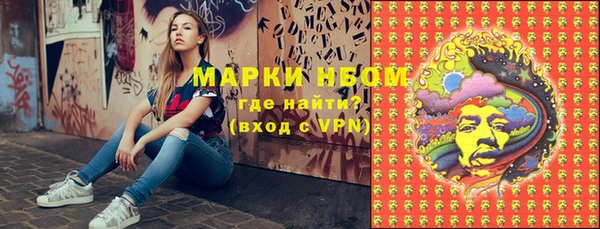 дживик Богородицк