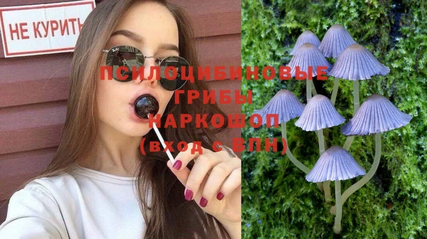 гидра Богданович