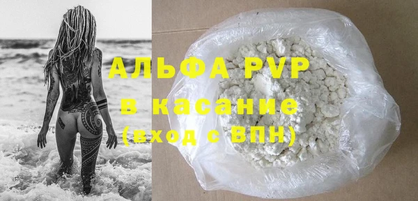 гидра Богданович