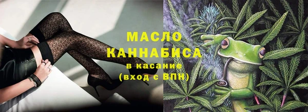 гидра Богданович
