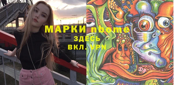 дживик Богородицк