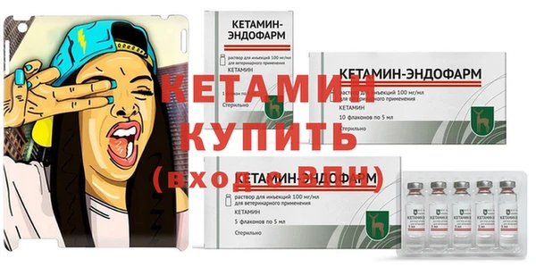 гидра Богданович