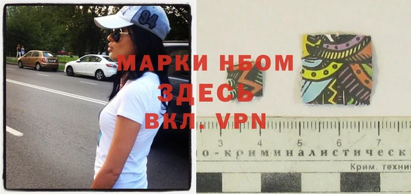дживик Богородицк