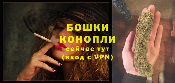 дживик Богородицк